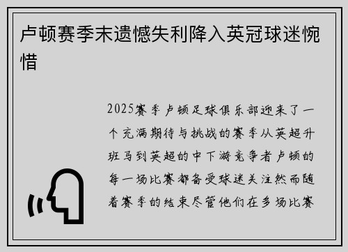 卢顿赛季末遗憾失利降入英冠球迷惋惜