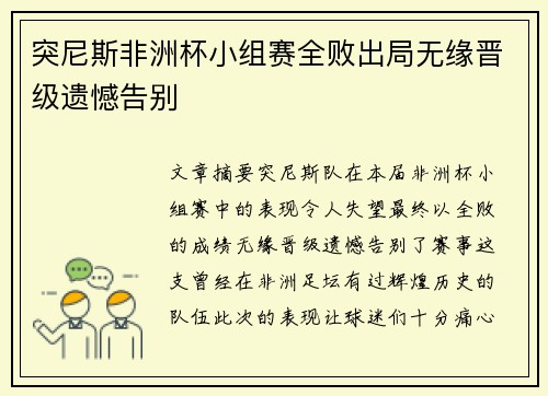 突尼斯非洲杯小组赛全败出局无缘晋级遗憾告别